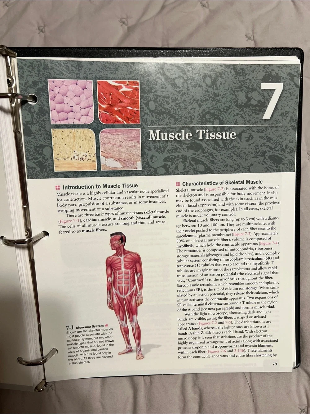 A Photographic Atlas of Histology Textbook - Second Edition